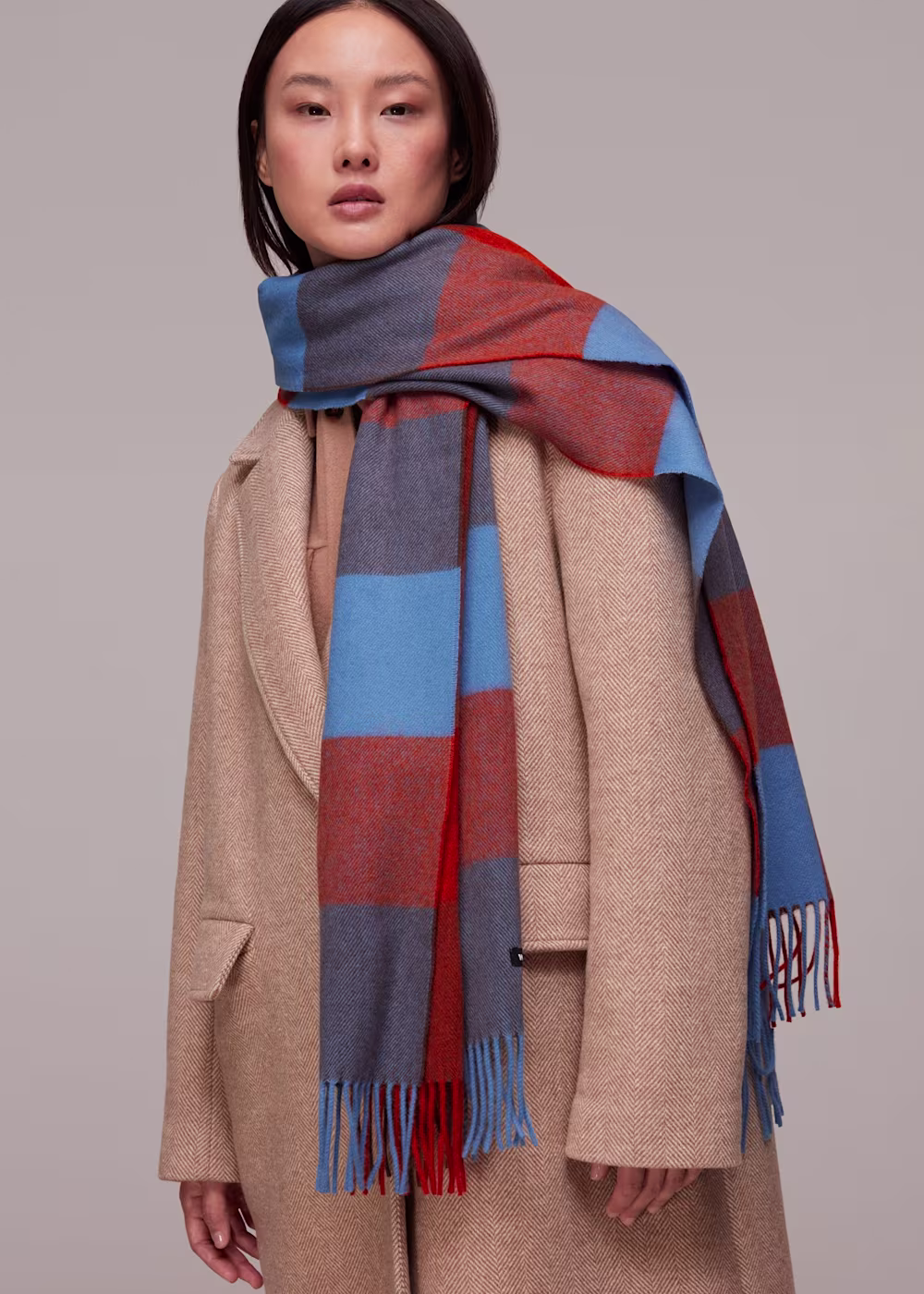 The Fashion Shop -The Fashion Shop whistles checked fringed wool scarf multicolour 99